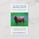 Suche nach ranch visitenkarte visitenkarten Kühe