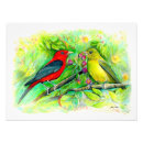 Recherche de dessin crayon coloré posters Oiseau