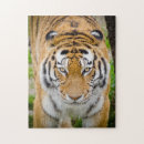 Suche nach große katzen puzzle Streifen