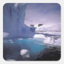 Recherche de grove autocollants Antarctique