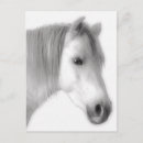 Recherche de visage de cheval cartes postales Tête