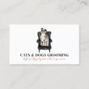 Suche nach schwarz weiße katze visitenkarten Haustiersitze