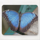 Suche nach mausmatte mousepads Schmetterling