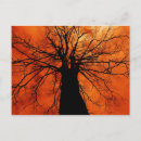 Recherche de ciel orange cartes postales Arbre