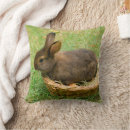 Recherche de lapins photographie Lapin de pâques