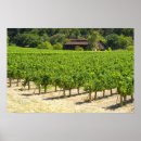 Suche nach weinkeller poster Weingut