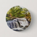 Recherche de cascade badges Baleines