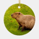 Suche nach capybara ornamente Nagetier