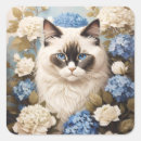 Suche nach ragdoll katzen aufkleber Kitty