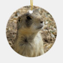 Recherche de chien de prairie ornements Animal