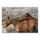 Suche nach berühren postkarten Pferd