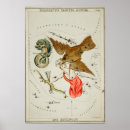 Suche nach aquila poster Astronomie