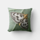 Recherche de petit insecte coussins Beau
