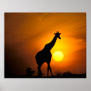 Suche nach kenia poster Orange
