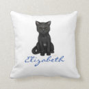 Recherche de chat doux coussins Chats