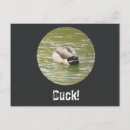 Suche nach ente postkarten Teich