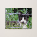 Recherche de chat smoking puzzles Nature