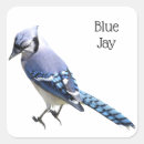 Recherche de jay autocollants Nature