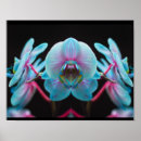 Suche nach exotische orchideen poster Für sie