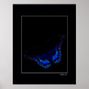 Suche nach wild lebende tiere kunst Schmetterling