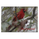 Recherche de cardinal rouge planches à découper Faune