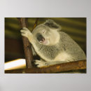 Suche nach ozeanien kunst Tourismus