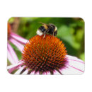 Recherche de abeilles magnets Toute personne