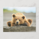 Recherche de cuttest cartes postales Faune