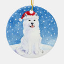 Suche nach weihnachtsmann hut ornamente Winter