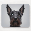 Recherche de scottish terrier tapis souris Dog