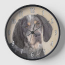 Recherche de bluetick Limier