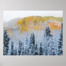 Suche nach espen poster Schnee