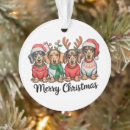 Suche nach dachshund ornamente Weihnachten
