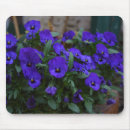 Suche nach viola mousepads Stiefmütterchen