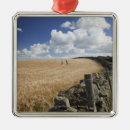 Suche nach zaun ornamente Horizontal