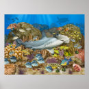 Suche nach coral reef poster Korallen