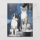 Suche nach graue katze postkarten Graukatzen