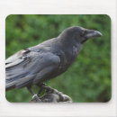 Recherche de corbeau tapis souris Noir