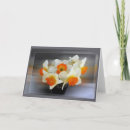 Suche nach narzisse karten Weiß