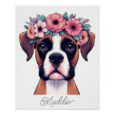 Recherche de boxer posters Illustration