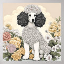 Recherche de caniche posters Blanc