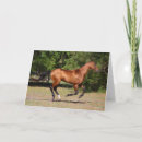 Suche nach tekst karten Akhal teke