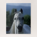 Suche nach araber puzzle Stehend