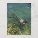 Suche nach fisch schwanz poster Unterwasser