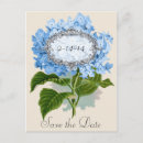 Recherche de hortensia bleu cartes postales Cru