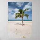 Suche nach aruba poster Strand