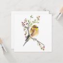 Suche nach kanarienvögel karten Singvogel