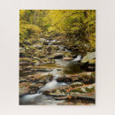 Suche nach bach puzzle Fall