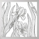Suche nach iris poster Natur