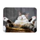 Suche nach im bett magnete Niedlich